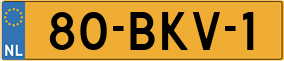 Truck License Plate