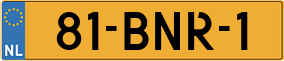 Truck License Plate