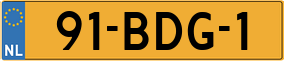 Truck License Plate
