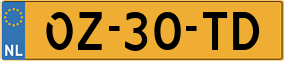 Trailer License Plate