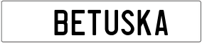 Truck License Plate