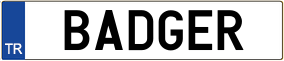 Trailer License Plate