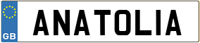 Trailer License Plate