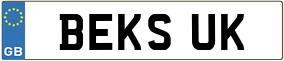 Truck License Plate