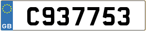 Trailer License Plate