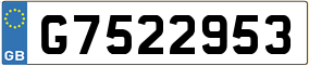 Trailer License Plate