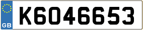 Trailer License Plate