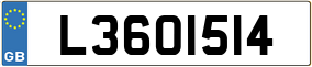 Trailer License Plate