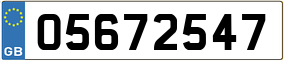 Trailer License Plate