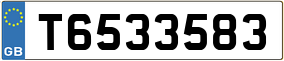 Trailer License Plate