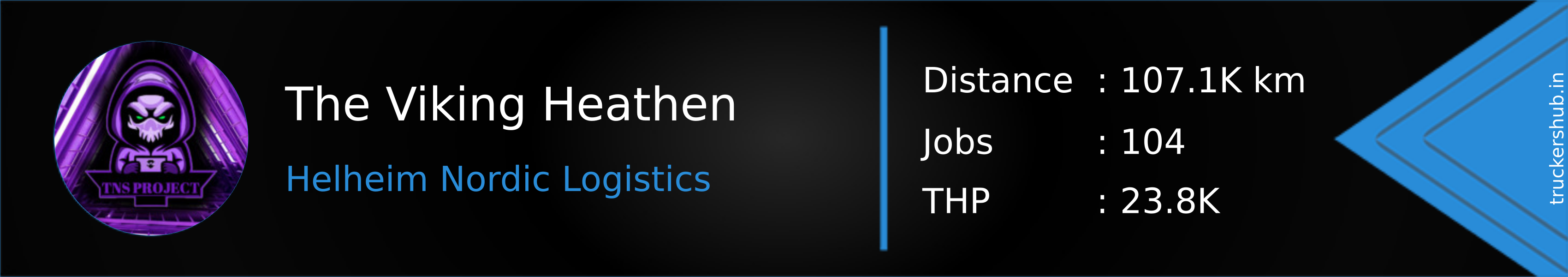 The Viking Heathen Banner