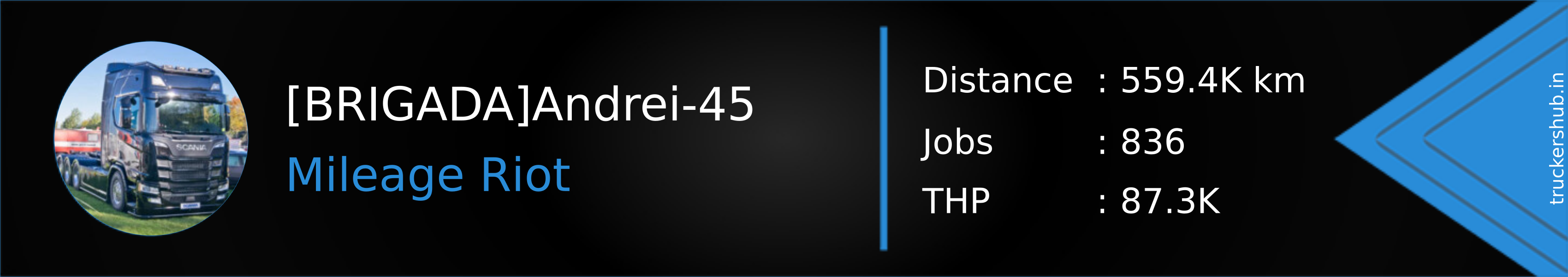 [BRIGADA]Andrei-45 Banner