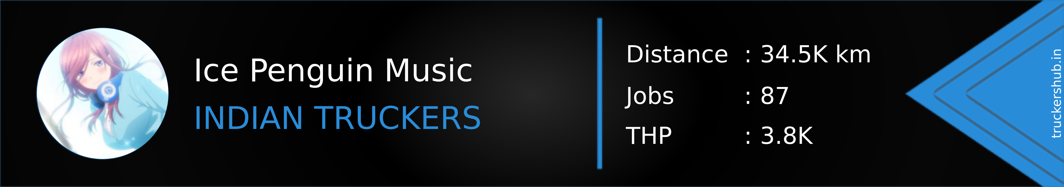 Ice Penguin Music Banner