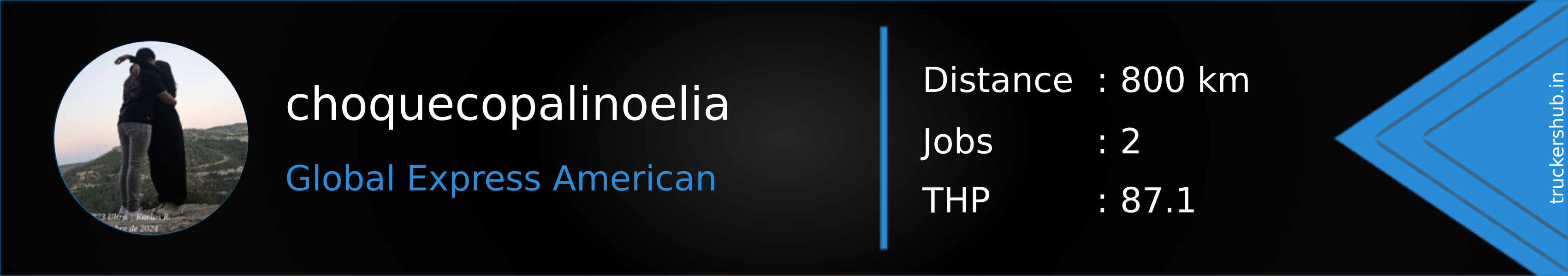 choquecopalinoelia Banner