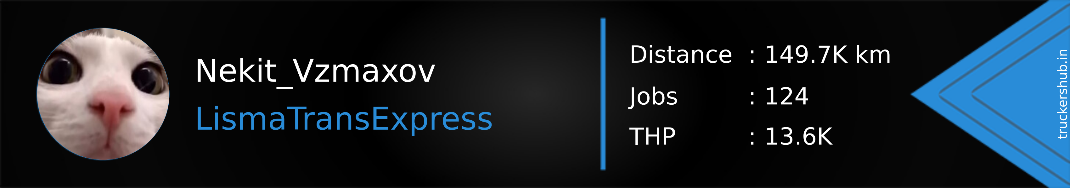 Nekit_Vzmaxov Banner