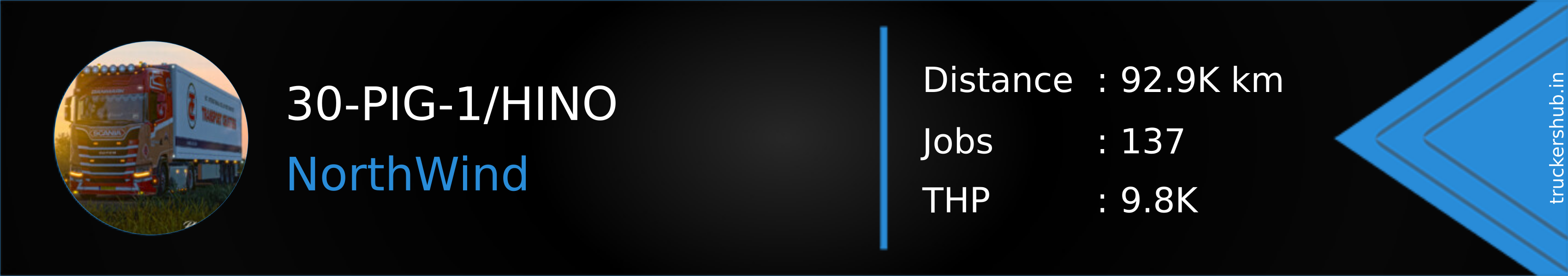 30-PIG-1/HINO Banner