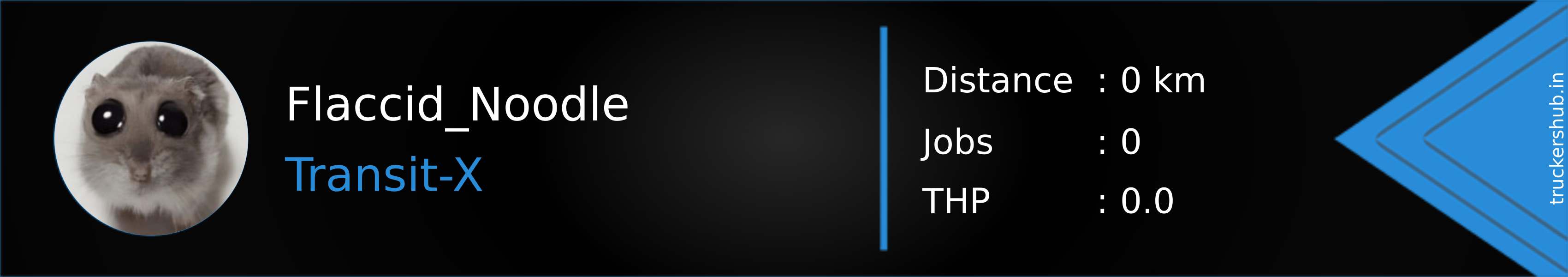 Flaccid_Noodle Banner