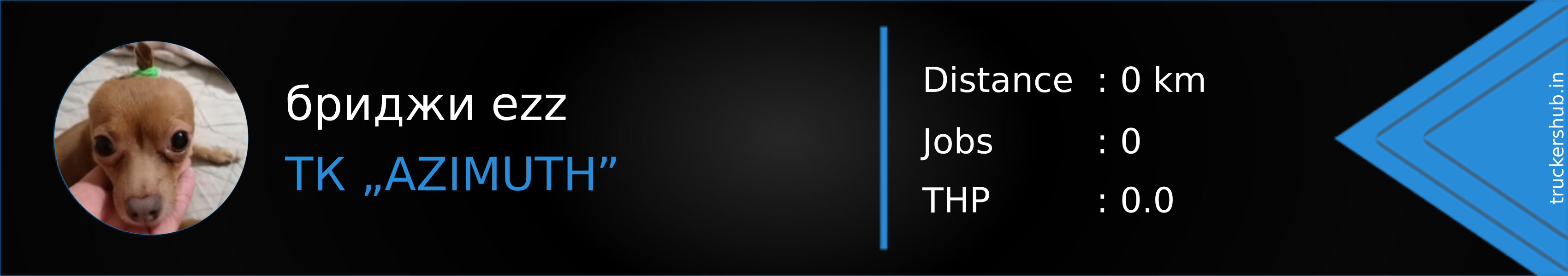 бриджи ezz Banner