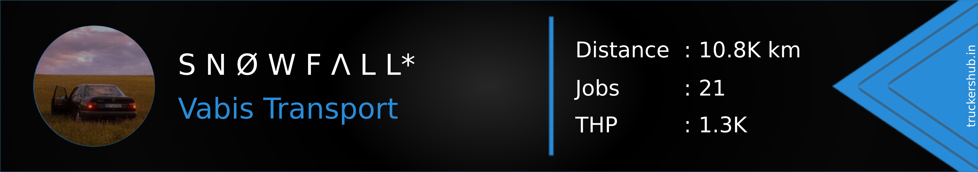 S N Ø W F Λ L L* Banner