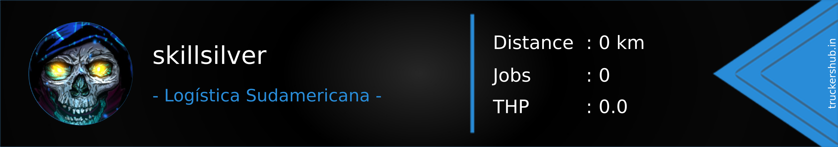 skillsilver Banner
