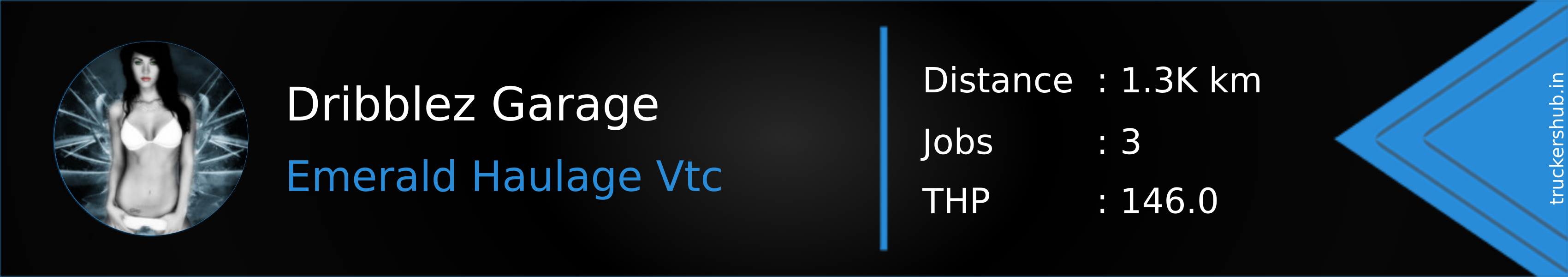 Dribblez Garage Banner