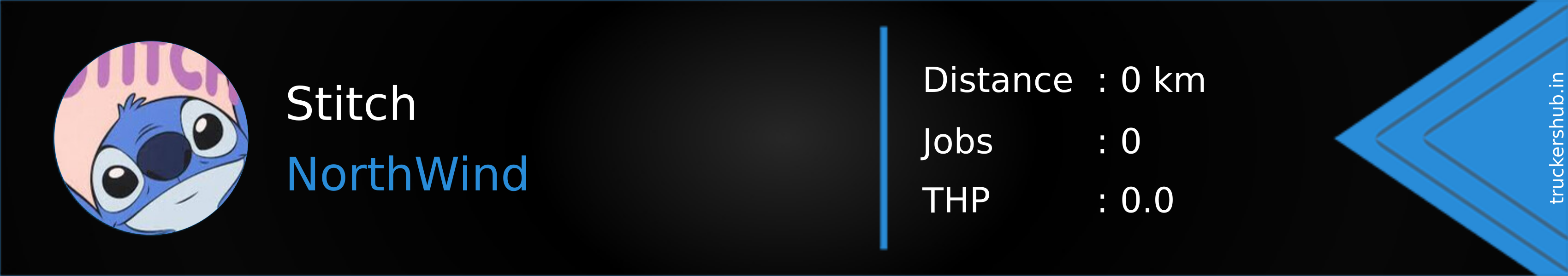 Stitch Banner