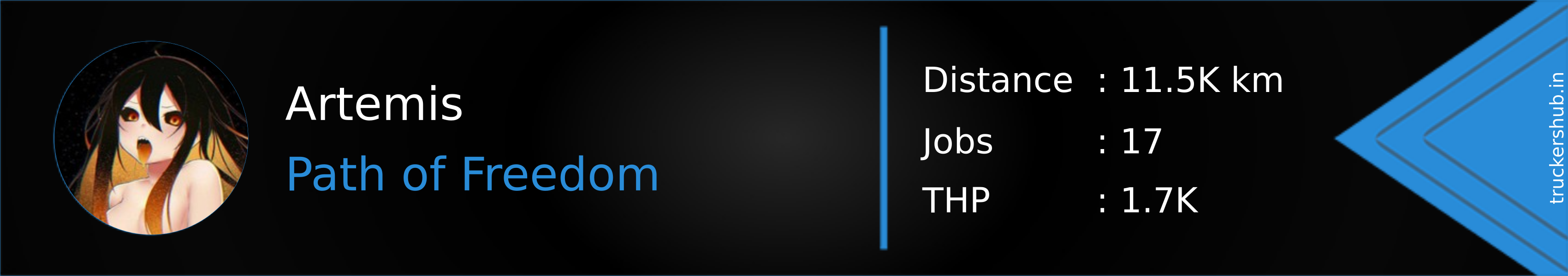 Artemis Banner