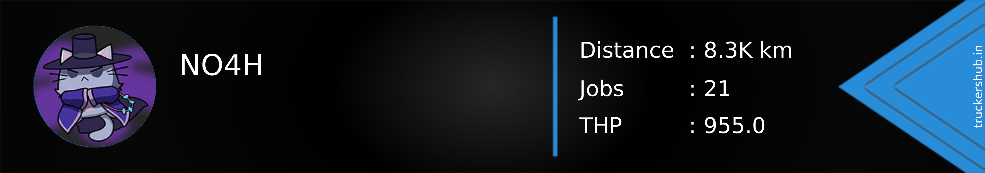 NO4H Banner