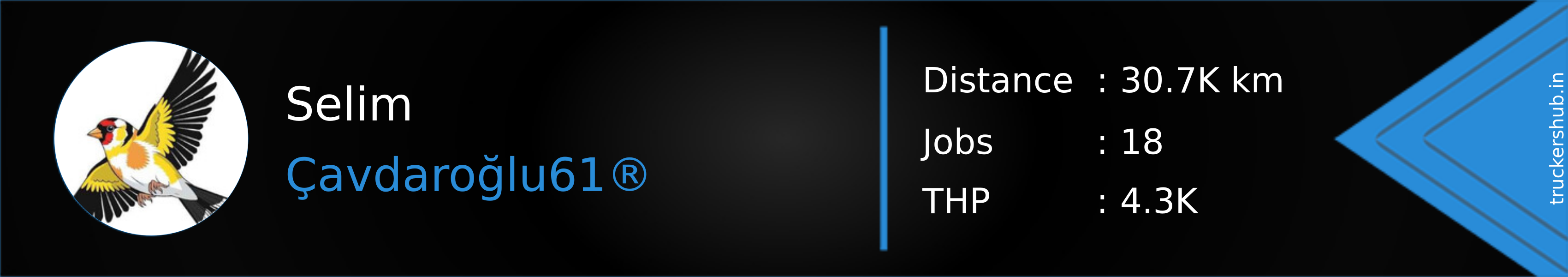 Selim Banner