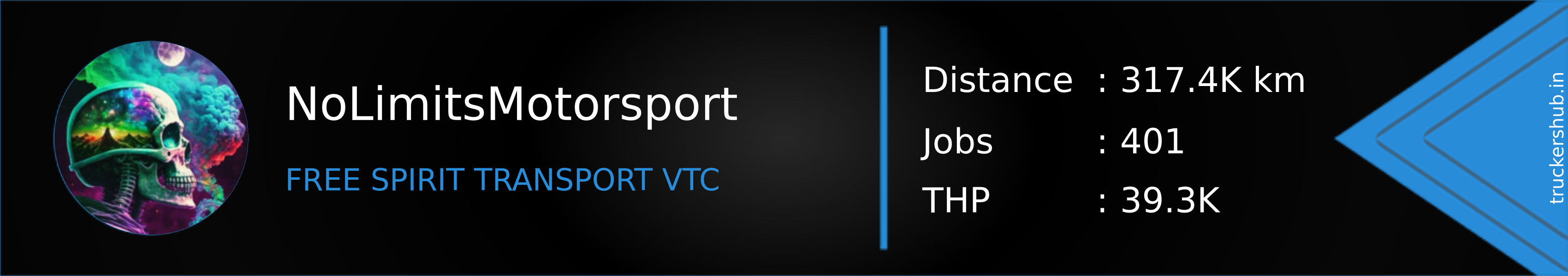 NoLimitsMotorsport Banner