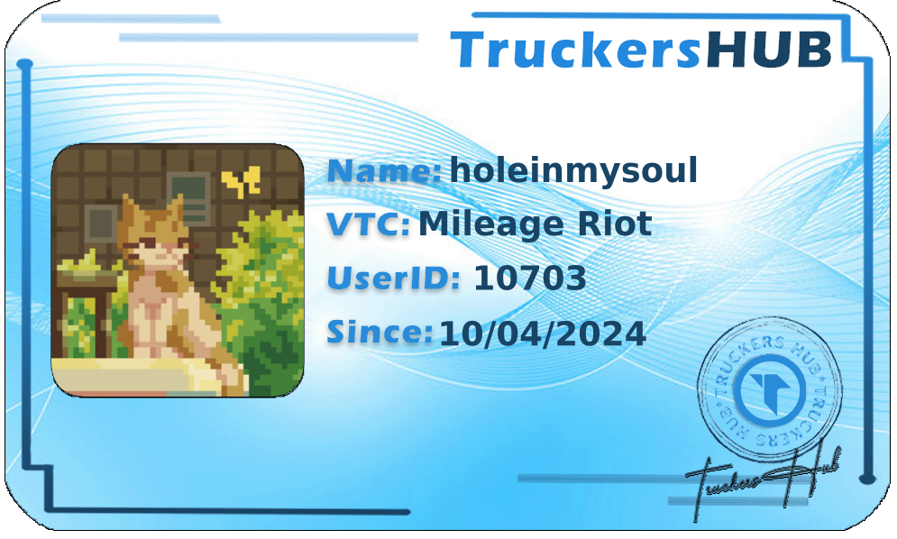 holeinmysoul License