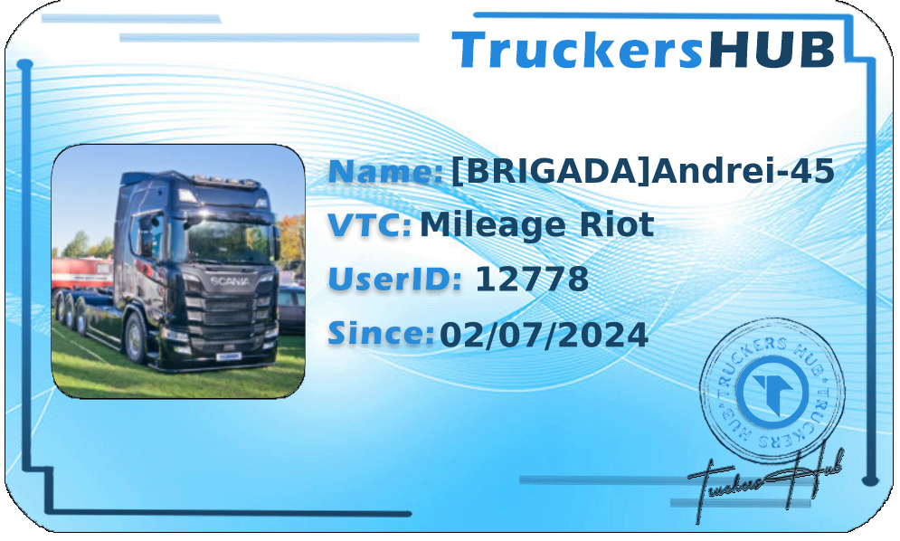 [BRIGADA]Andrei-45 License