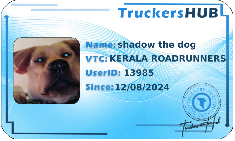 shadow the dog License