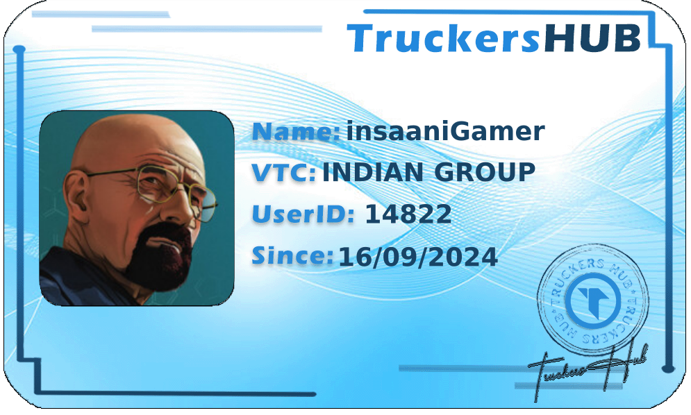 insaaniGamer License
