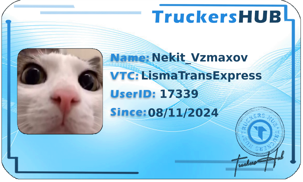 Nekit_Vzmaxov License