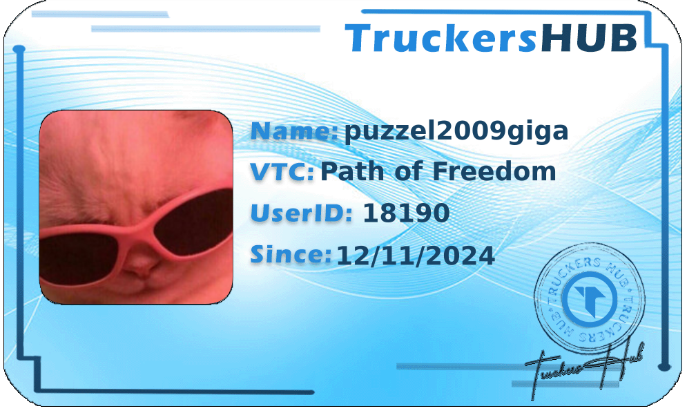puzzel2009giga License