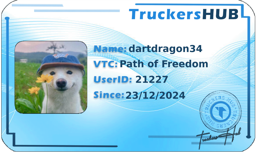 dartdragon34 License