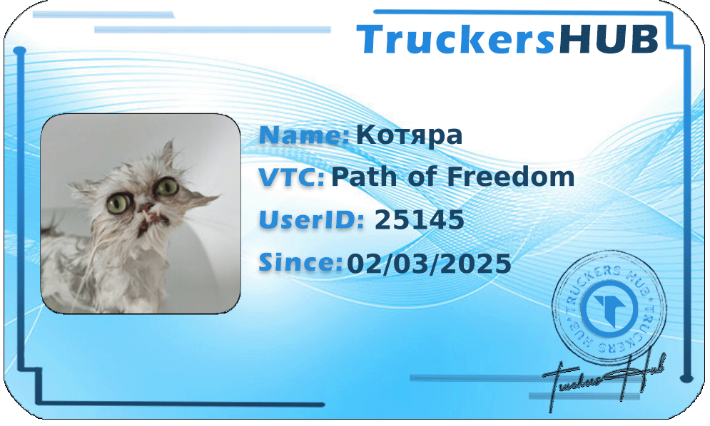 Котяра License