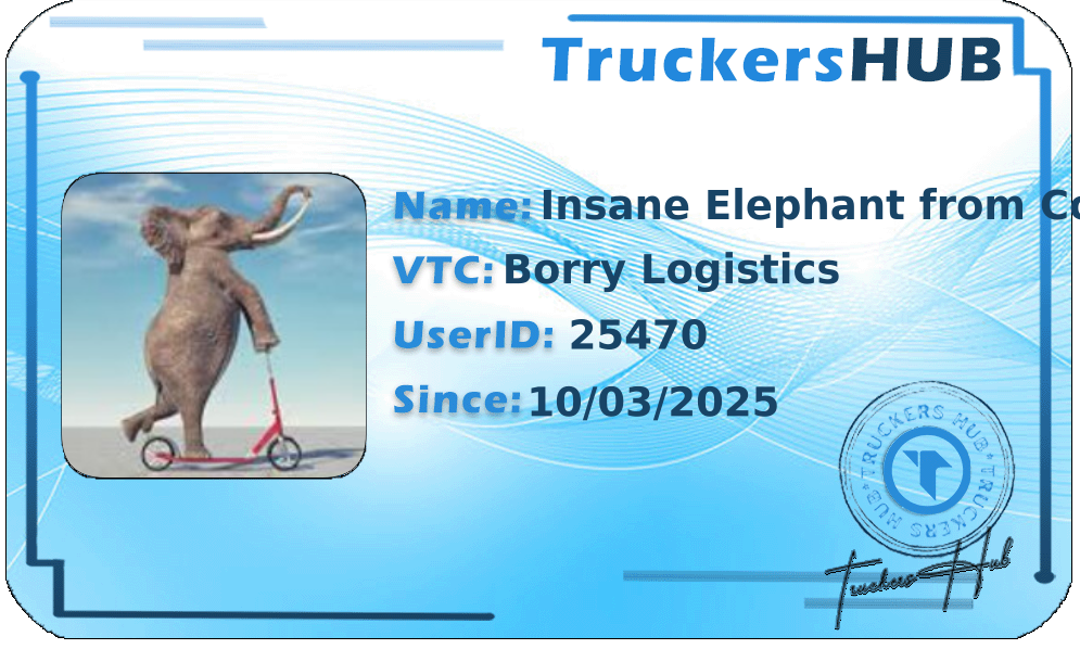 Insane Elephant from Colorado License