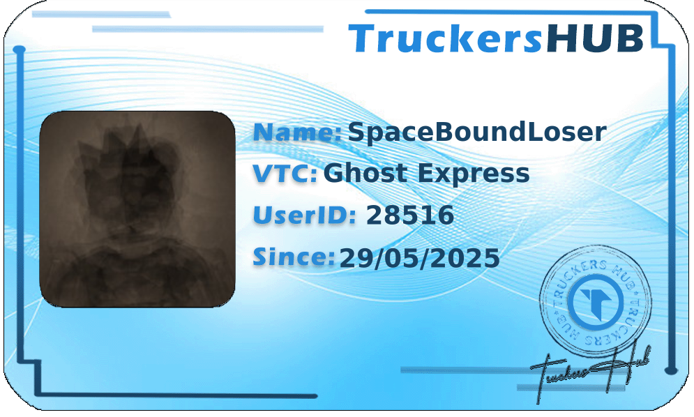 SpaceBoundLoser License