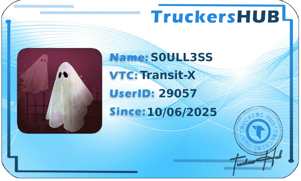 S0ULL3SS License