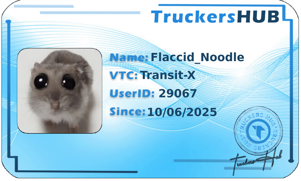 Flaccid_Noodle License
