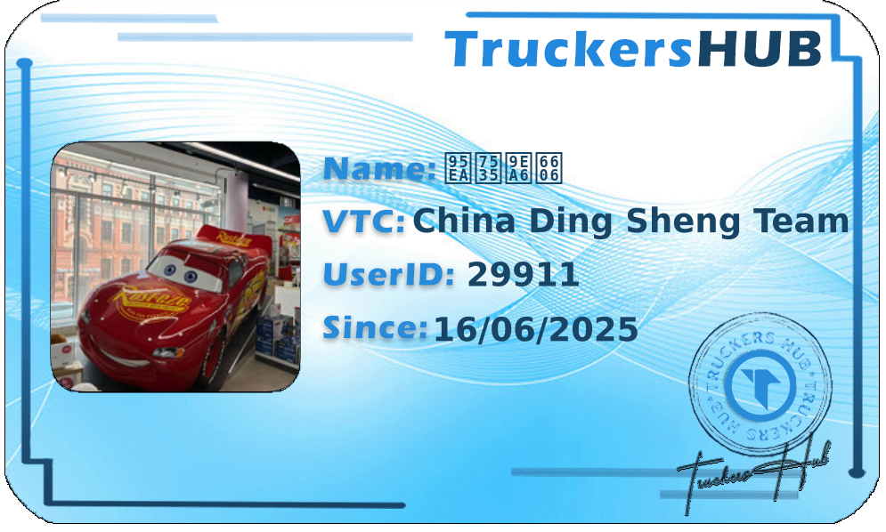 闪电麦昆 License