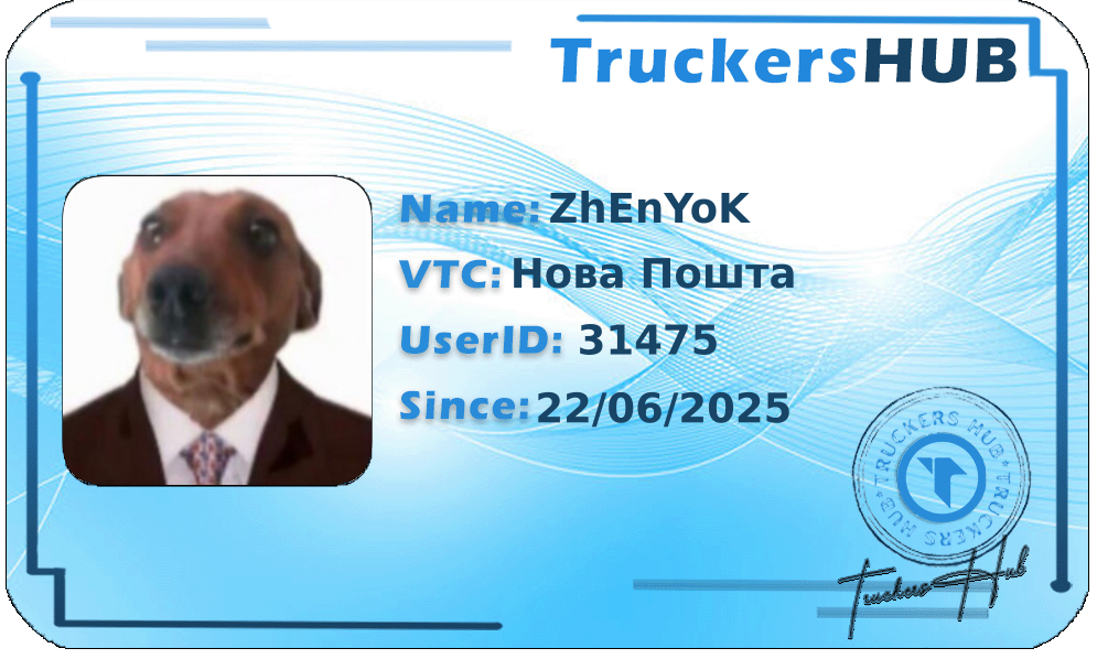 ZhEnYoK License
