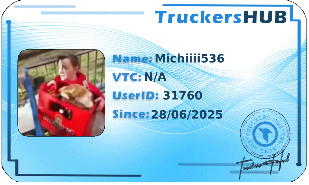Michiiii536 License