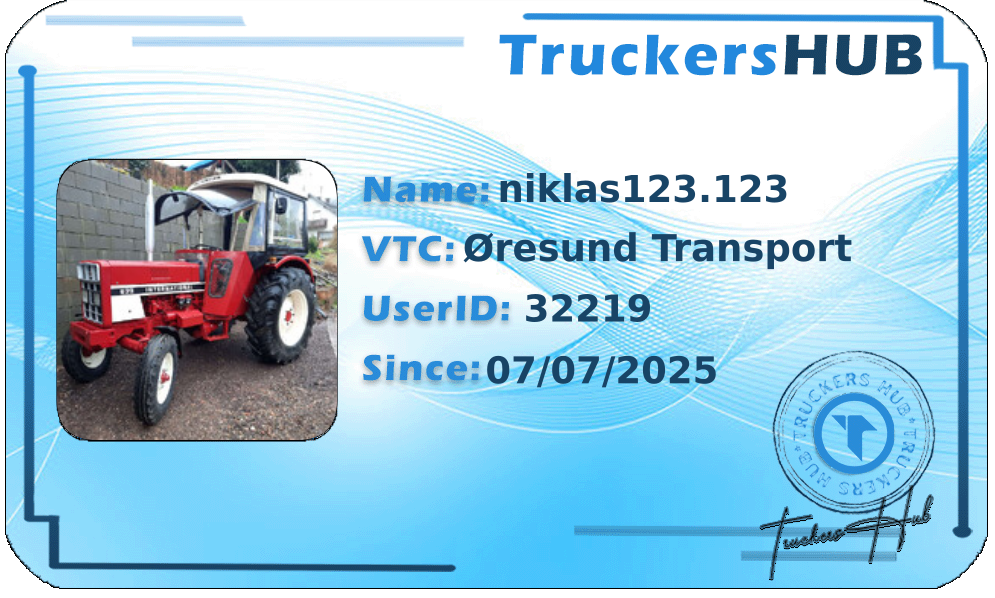 niklas123.123 License