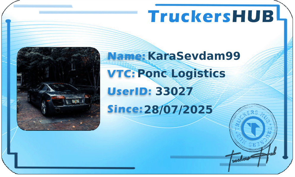 KaraSevdam99 License