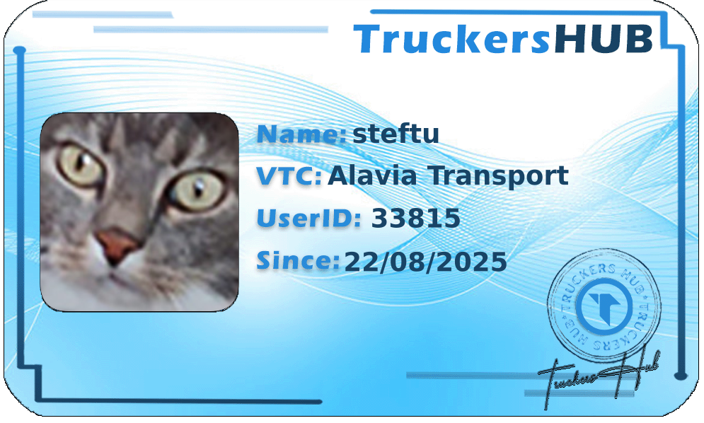 steftu License