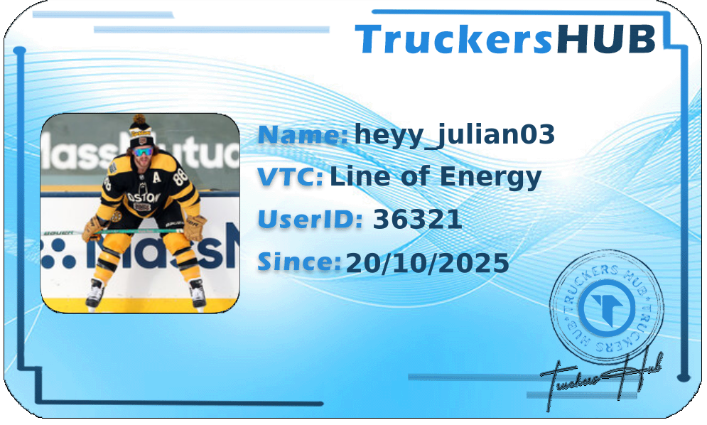 heyy_julian03 License