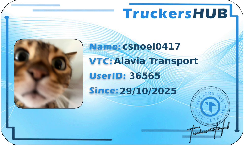 csnoel0417 License